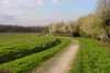 Le chemin des Tyroliens 